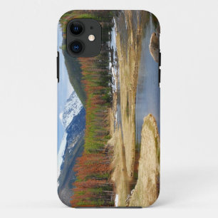 Winding Colorado River With Mountains and Pines iPhone 11 Case