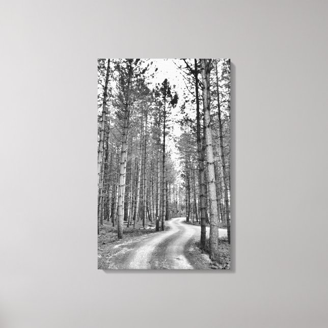 Winding Path Canvas Print (Front)