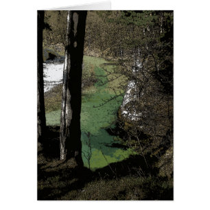 Winding River