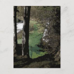 Winding River Postcard