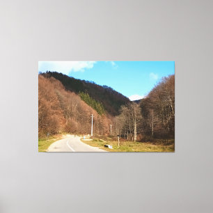 Winding Road Through Forest – Wild Nature Romania Canvas Print