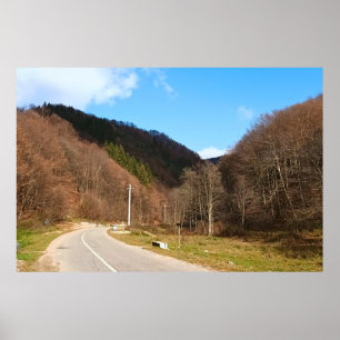 Winding Road Through Forest – Wild Nature Romania Poster