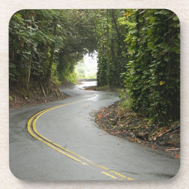 Winding roads through rainforest, Island of Coaster (Front)