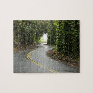 Winding roads through rainforest, Island of Jigsaw Puzzle