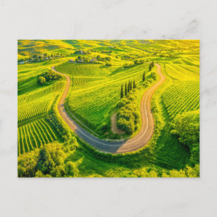 Winding Roads Through Vineyards and Cypress Trees Holiday Postcard