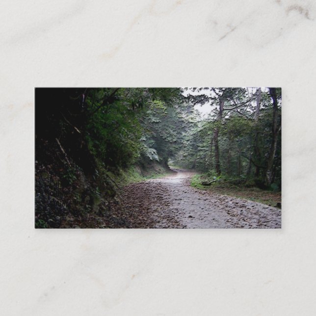 Winding Through Life/Inspirational Landscape Business Card (Front)