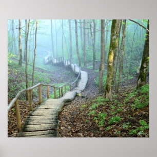 Winding Wooden Stairs Through the Woods Poster