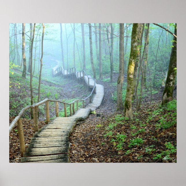 Winding Wooden Stairs Through the Woods Poster (Front)