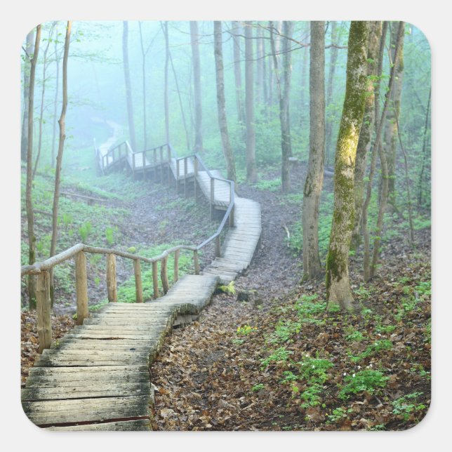 Winding Wooden Stairs Through the Woods Square Sticker (Front)