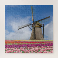 Windmill And Colorful Tulips Amsterdam Netherlands