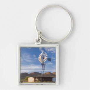 Windmill And Dam In The Karoo At Sunrise Key Ring