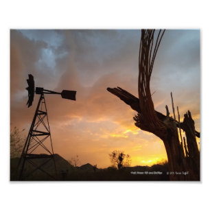 Windmill and Saguaro Cactus Skeleton at Sunset Photo Print