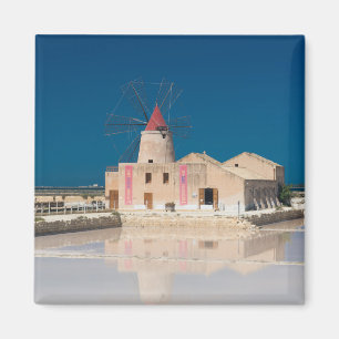 Windmill and salt pans at the salina of Trapani Magnet
