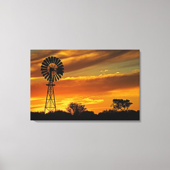 Windmill and Sunset, William Creek, Oodnadatta Canvas Print (Front)