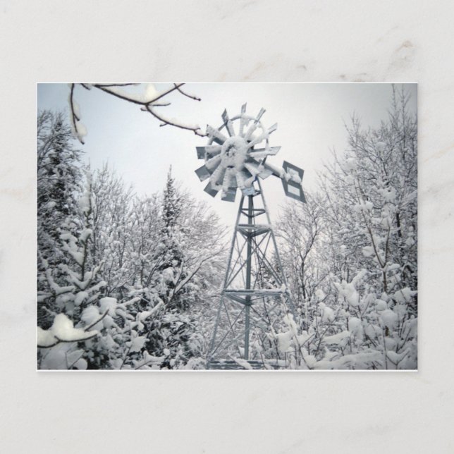 Windmill and Trees Covered in Snow. Postcard (Front)