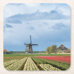 Windmill and tulips landscape coaster