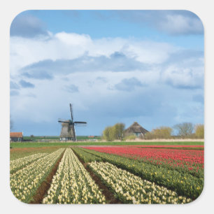 Windmill and tulips landscape sticker