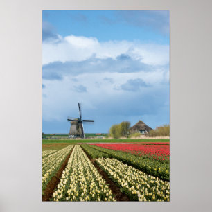 Windmill and tulips landscape vertical poster
