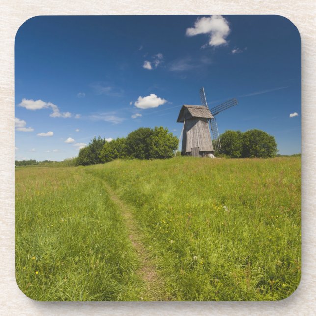 Windmill at Mikhailovskoye Coaster (Front)