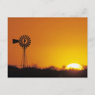 Windmill at sunset, Sinton, Texas, USA Postcard