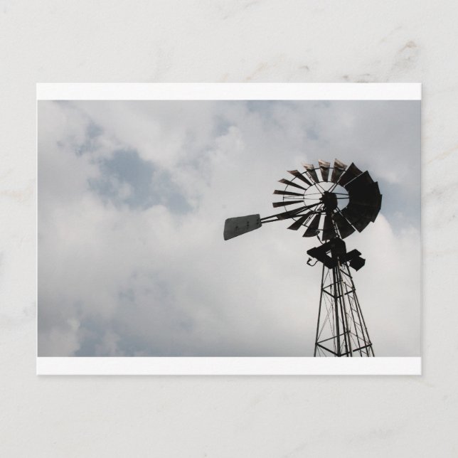 "windmill" by Coressel Productions Postcard (Front)