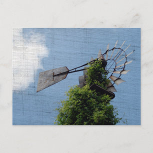 Windmill Exclusive Postcard