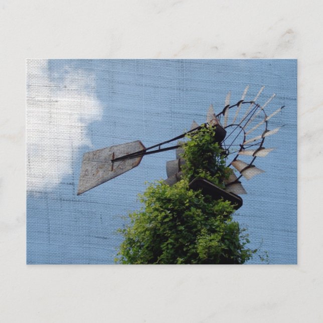 Windmill Exclusive Postcard (Front)