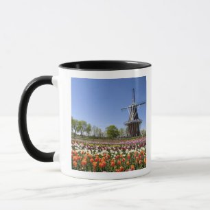 Windmill Island park with tulips in bloom at Mug