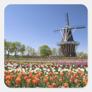 Windmill Island park with tulips in bloom at Square Sticker