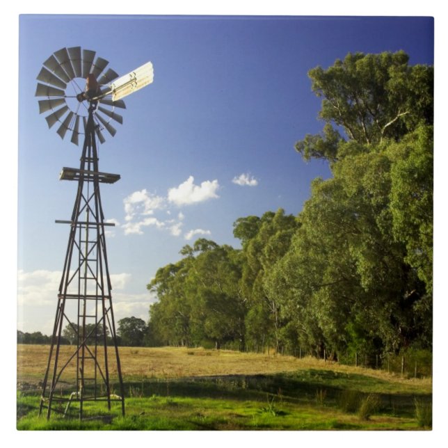 Windmill near Hume Highway, Victoria, Australia Tile (Front)