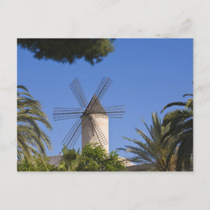 Windmill, Palma, Mallorca, Spain Postcard