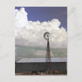 Windmill Postcard