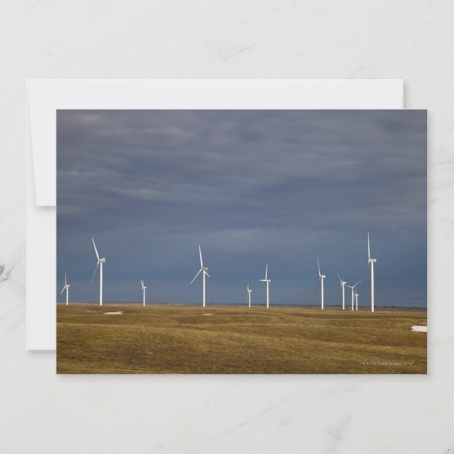 Windmill Towers (Front)