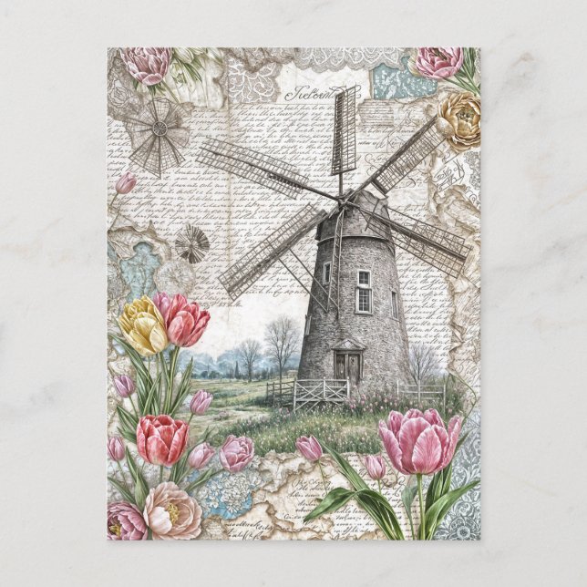Windmill with Pink Tulips Holiday Postcard (Front)
