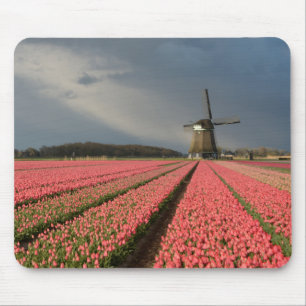 Windmill with pink tulips in spring mouse mat