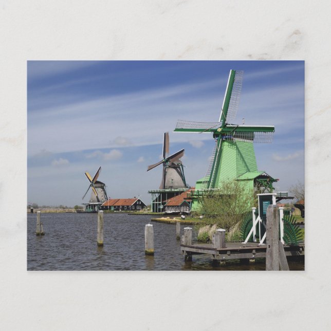 Windmill, Zaanse Schans, Holland, Netherlands 2 Postcard (Front)