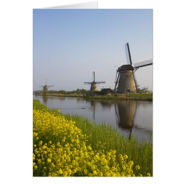 Windmills along the canal in Kinderdijk, (Front)