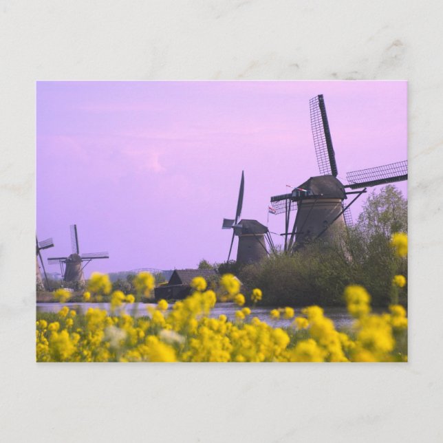 Windmills along the canal in Kinderdijk, Postcard (Front)