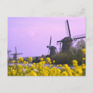 Windmills along the canal in Kinderdijk, Postcard
