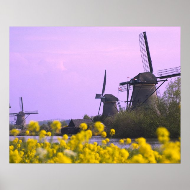 Windmills along the canal in Kinderdijk, Poster (Front)