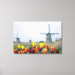 Windmills and tulips along the canal in canvas print