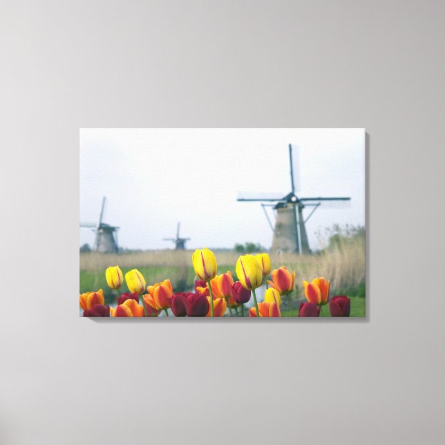 Windmills and tulips along the canal in canvas print (Front)