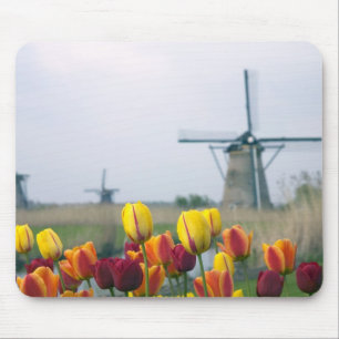 Windmills and tulips along the canal in mouse mat