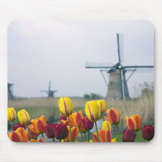 Windmills and tulips along the canal in mouse mat (Front)