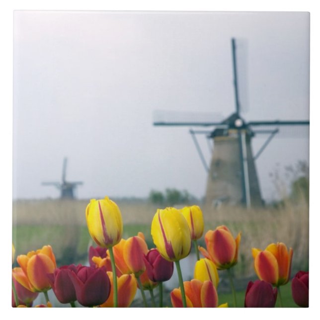 Windmills and tulips along the canal in tile (Front)