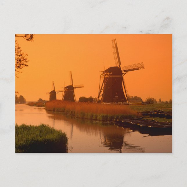 Windmills at sunset, Leidschendam, Netherlands Postcard (Front)