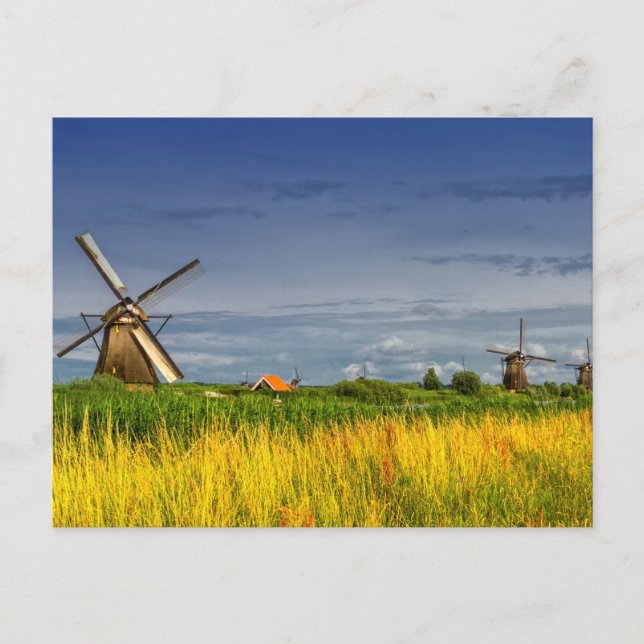 Windmills in Kinderdijk, Holland, Netherlands Postcard (Front)
