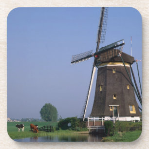 Windmills, Leidschendam, Netherlands Coaster