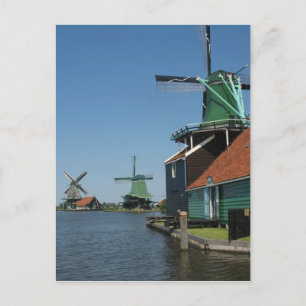 Windmills Zaanse Schans in Holland Postcard