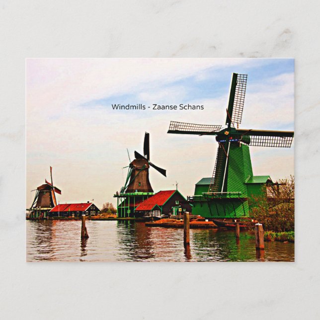 Windmills-Zaanse Schans Postcard (Front)